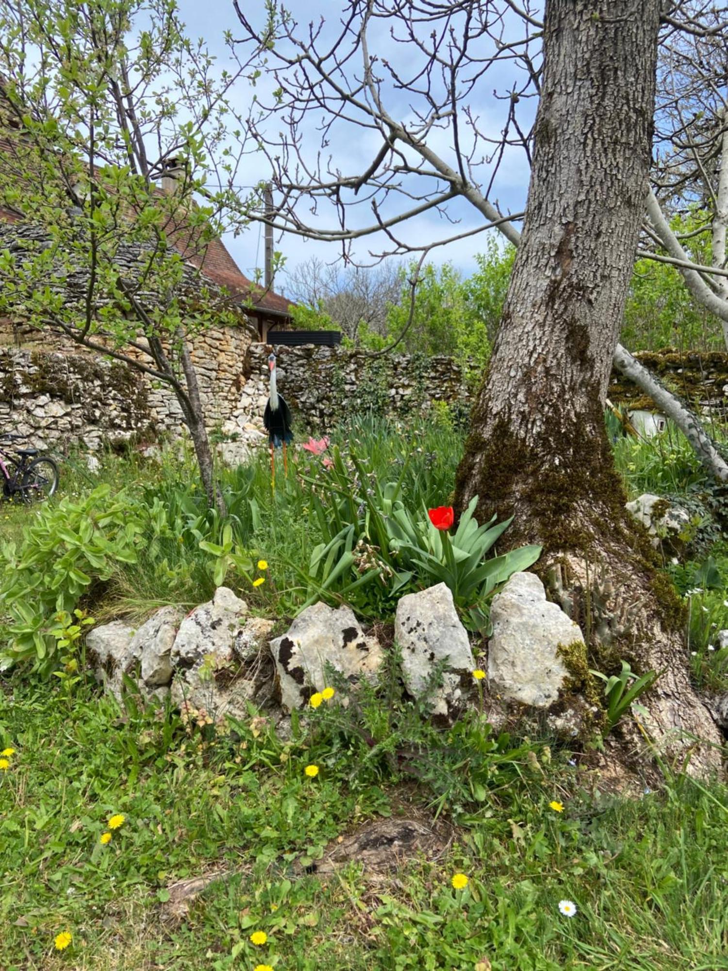Gites Sur Le Causse De St Chels, Charme Sport Et Detente Saint-Chels Exterior foto