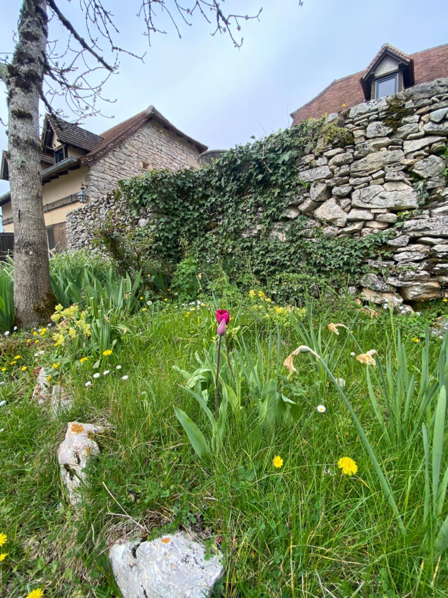 Gites Sur Le Causse De St Chels, Charme Sport Et Detente Saint-Chels Exterior foto