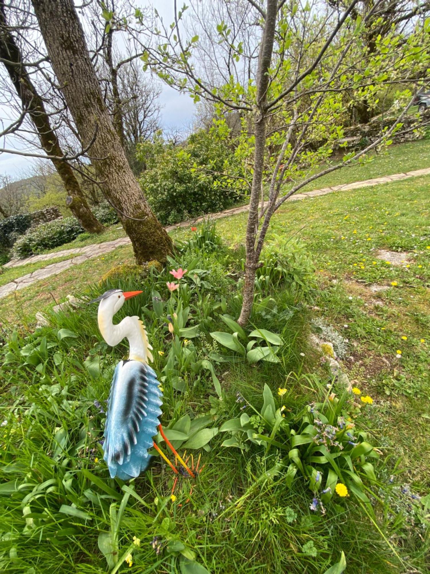 Gites Sur Le Causse De St Chels, Charme Sport Et Detente Saint-Chels Exterior foto