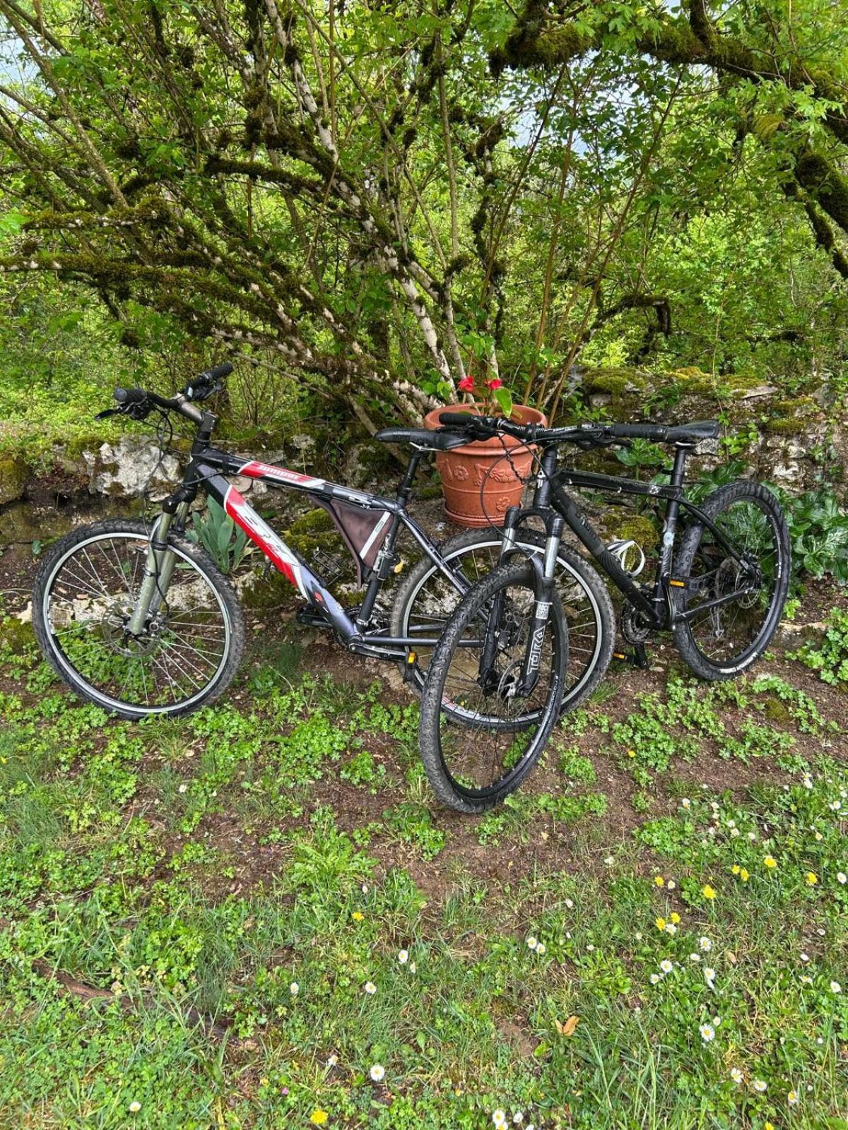 Gites Sur Le Causse De St Chels, Charme Sport Et Detente Saint-Chels Exterior foto